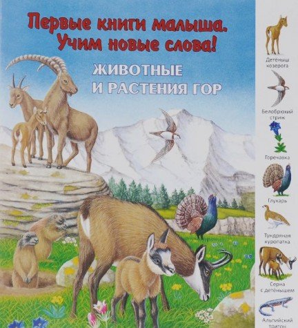 Животные и растения гор