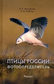 Птицы России.Фотоопределитель