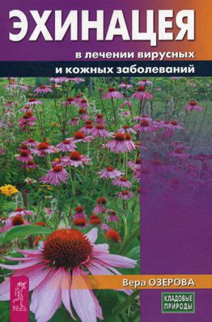 Эхинацея в лечении вирусных и кожных заболеваний