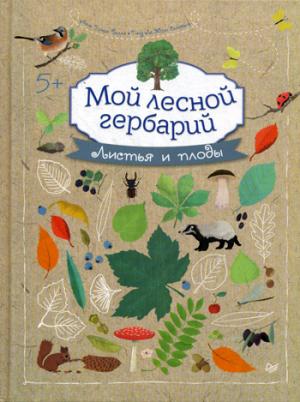 Мой лесной гербарий 5+