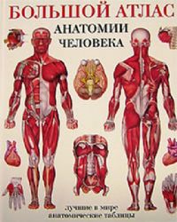 Большой атлас анатомии человека