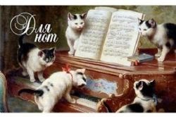 Для нот. Котята