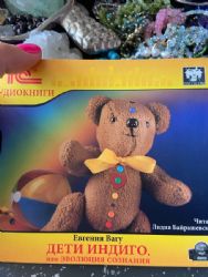 CDmp3 Дети Индиго, или Эволюция сознания