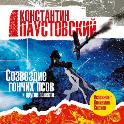 CDmp3 Созвездие гончих псов