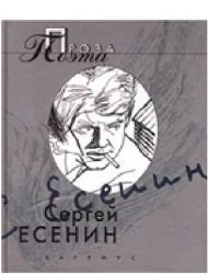 Проза поэта (Книга не новая, но в отличном состоянии)