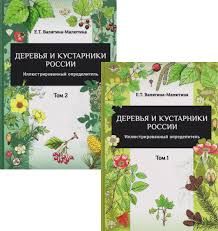 Деревья и кустарники России. Иллюстрированный определитель в 2-х томах