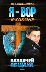 Казначей общака (Книга не новая, но в отличном состоянии)