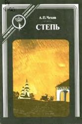Степь: история одной поездки  (Книга не новая, состояние удовлетворительное)