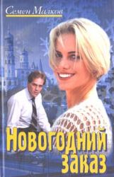 Новогодний заказ (Книга не новая, но в отличном состоянии)