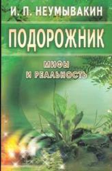 Подорожник Мифы и реальность