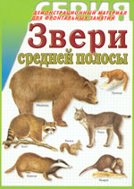 Звери средней полосы. Демонстрационный материал