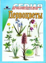 Первоцветы Демонстрационный материал