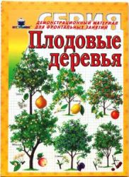 Плодовые деревья Демонстрационный материал