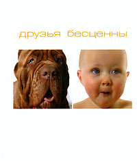 Друзья бесценны