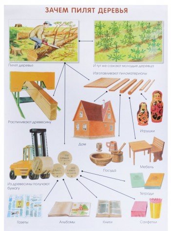 Плакат. Зачем пилят деревья
