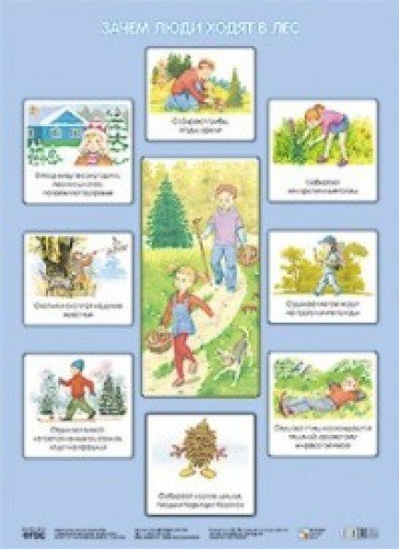 Зачем люди ходят в лес