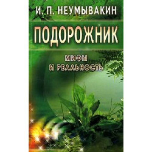 Подорожник: мифы и реальность