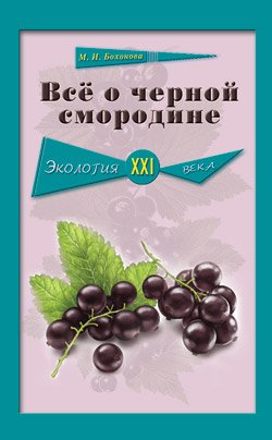 Все о черной смородине