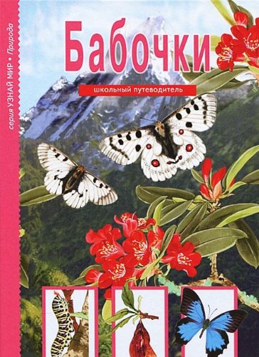 Бабочки. Школьный путеводитель (6+)