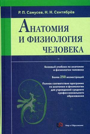 Анатомия и физиология человека