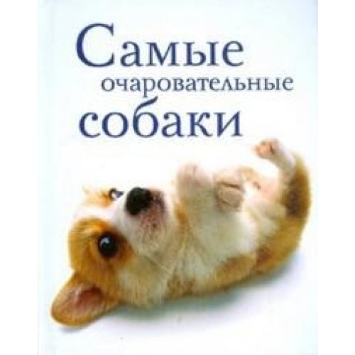 Самые очаровательные собаки