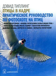 Птицы в кадре