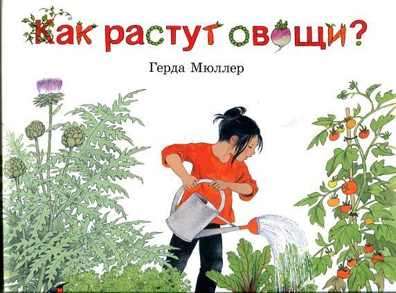 Как растут овощи?