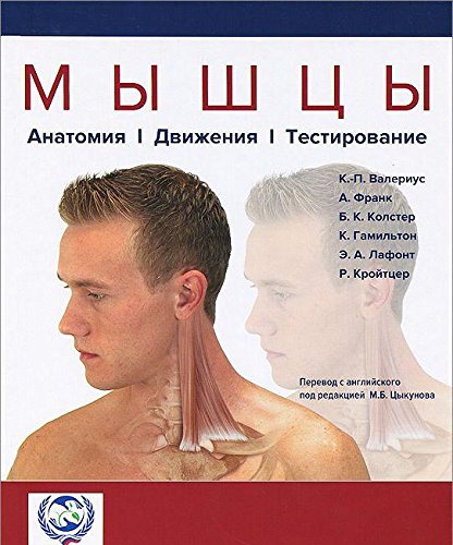 Мышцы.Анатомия.Движения.Тестирование