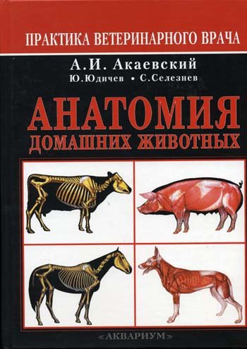 Анатомия домашних животных