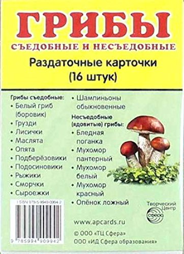 Раздаточные карточки Грибы (63х87мм)