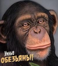 Умные обезьяны!