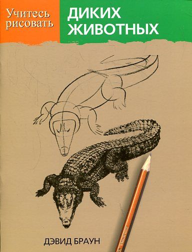 Учитесь рисовать диких животных