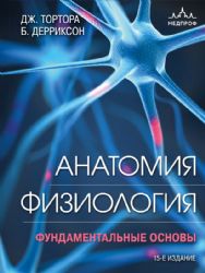 Анатомия. Физиология. Фундаментальные основы. 15-е издание