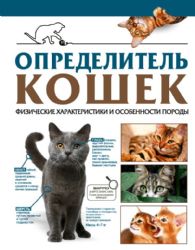 Определитель кошек. Физические характеристики и особенности породы