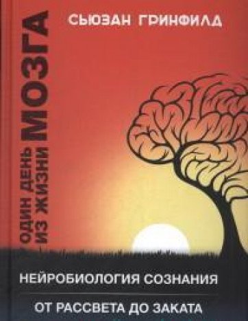 Один день из жизни мозга.Нейробиология сознания
