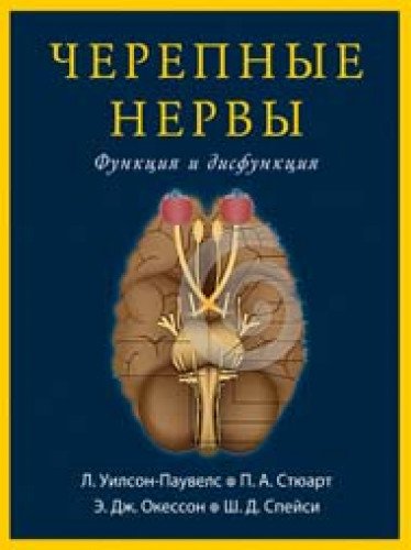 Черепные нервы. Функция и дисфункция