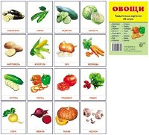 Раздаточные карточки Овощи (63х87мм)