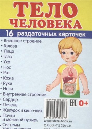 Раздаточные карточки Тело человека (63х87мм)