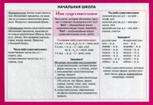 Начальная школа. Имя существительное