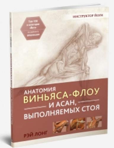 Анатомия виньяса-флоу и асан, выполняемых стоя