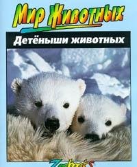 Детеныши животных