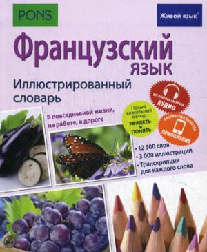 Французский язык. Иллюстр. словарь (полноцвет,мел)
