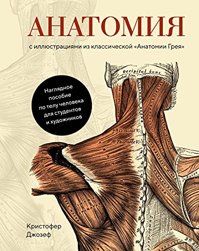 Анатомия  (с иллюстрациями из классической Анатомии Грея)
