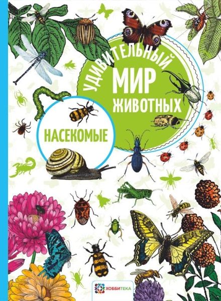 Насекомые