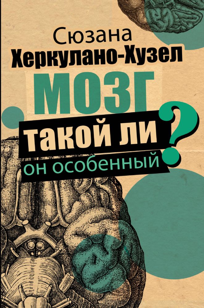 Мозг. Такой ли он особенный ?