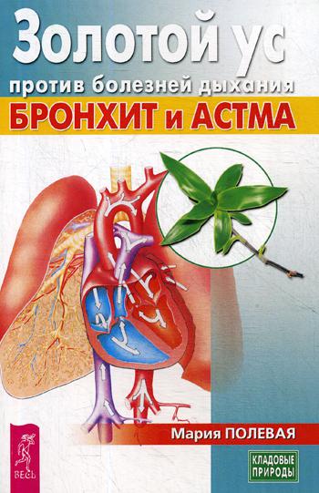Золотой ус против болезней дыхания. Бронхит и астма