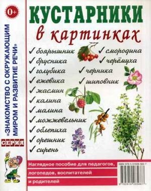 Кустарники в картинках [Нагл. пособие]