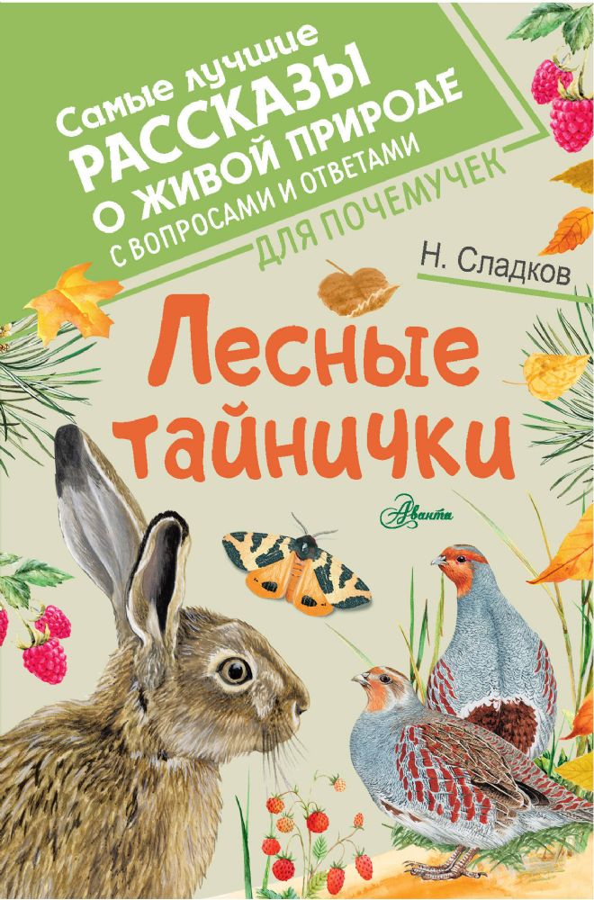 Лесные тайнички