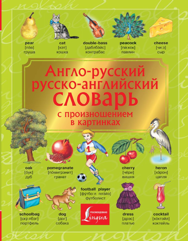Англо-русский. Русско-английский словарь с произношением в картинках