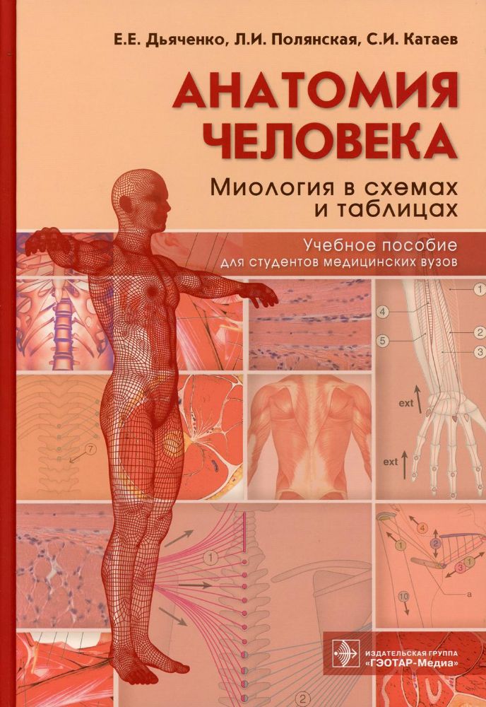 Анатомия человека:Миология в схемах и таблицах
